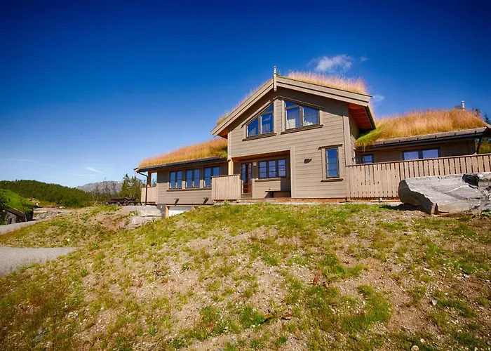 Modern Comfort Perfect For Families And Groups Alpehytte *